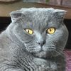 natali_te