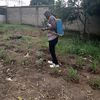 mavindi.muhotwe0