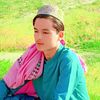 mueed1831