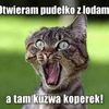 roman.karpinski7
