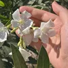 pei11_7