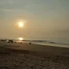 hoang.nguye86