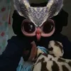 a_.asants