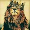 user8273918661029