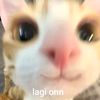 anin.anindya22