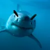 .pastel.shark
