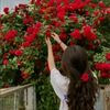 mariam.jannat162
