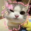 jenachiroo_