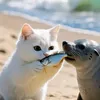 Ai video