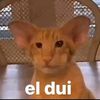 nio.del.cfh
