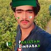 asghaerali28