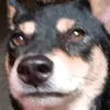 thchcnh8