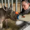 Zookeeper Safari
