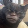 maitepatriciafatty