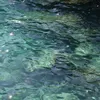 grazia.ammendola5