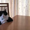 dieuanhyeuadele