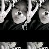 sosis_kenzler1