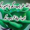 shahzaibkhan804.2