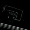liziks.show_2013l
