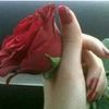rayanflow82