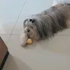 pedro123_046