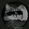 saed.moryse0