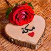 mmha3014258066