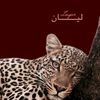 leyan469