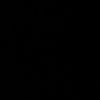 santoro7336