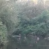 sahana.v2603