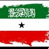 somaliland5946