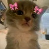 akemi_girl15