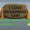 qormaanniqorsoomamilkii4