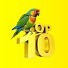 Top10.Stats