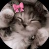 sharifuzzamanrube2