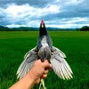 nguynnhn4405