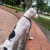 antonio.gonzlez946
