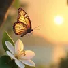 anhlan81347