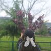 little__star62