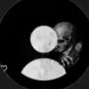 8ar__7