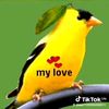 user7109296530011