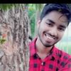 arif.mollik38