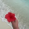 alicia_12348