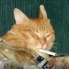 researchog0