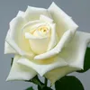 user2441020273220