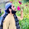 zia.ur.rehman5618
