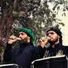 ريحانه الخيم