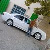 usda_ibo