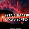 anwar.abegaz
