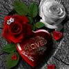 86suad3